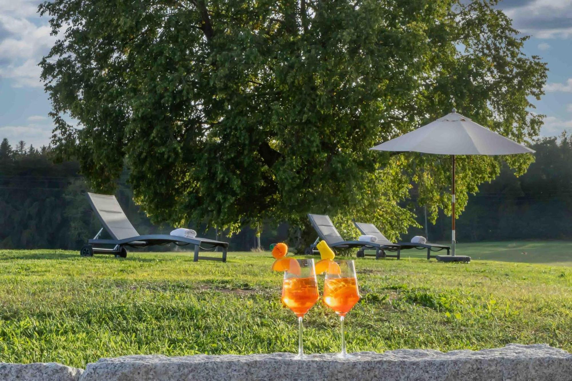 Wellnesshotel Sonnenhof & Sonnhalde Ühlingen-Birkendorf Kültér fotó